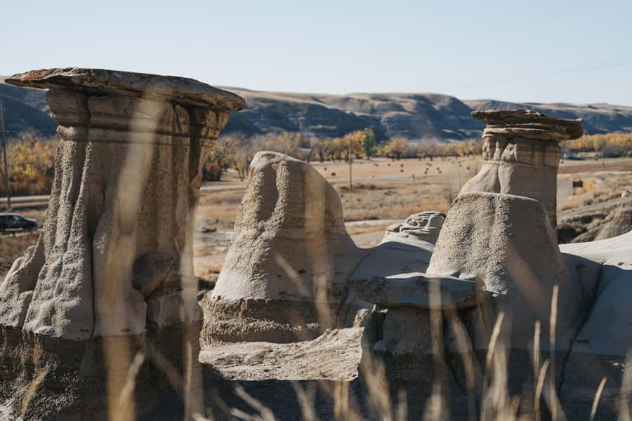 1 Day Drumheller Tour: Calgary to Hoodoos Dinosaurs Badlands - Royal Tyrrell Museum: where dinosaur fossils stop being abstract