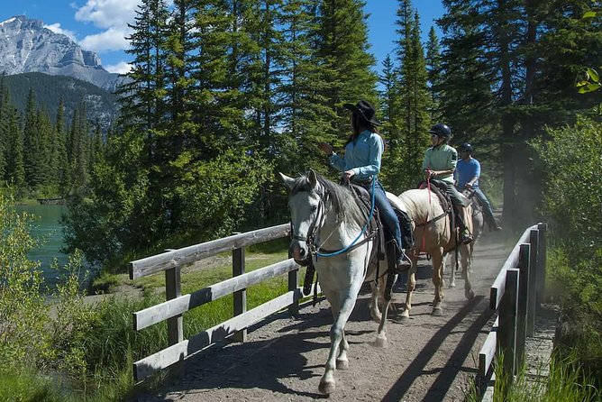 1 Hour Bow River Ride - The views you’ll actually want to look for