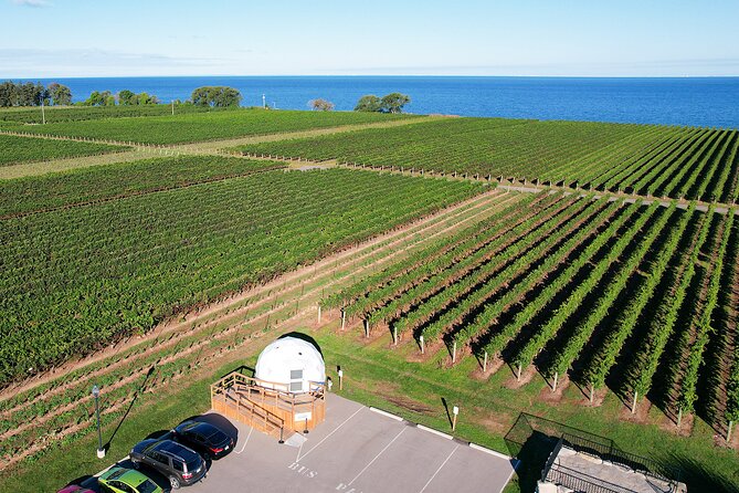 1 Hour Private Vineyard Dome Experience in Niagara-on-the-Lake - Your Tasting Flow: Pairing Bites, Then Time to Hang Out