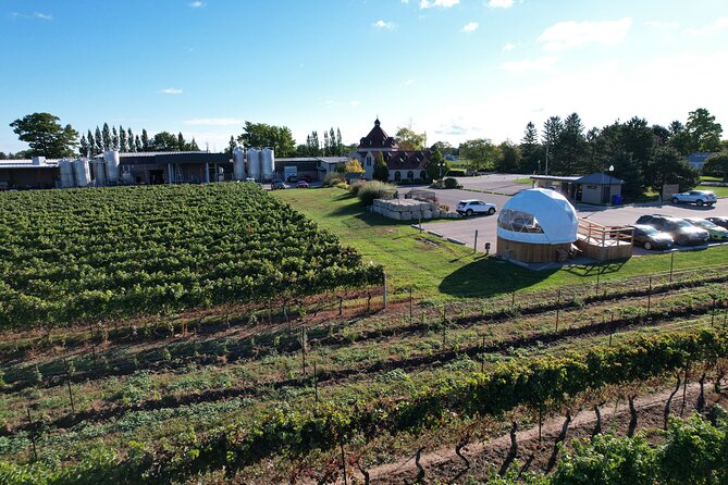 1 Hour Private Vineyard Dome Experience in Niagara-on-the-Lake - The Wines and Food Pairings: Family Reserve Series Meets Charcuterie