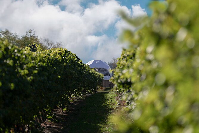 1 Hour Private Vineyard Dome Experience in Niagara-on-the-Lake - Hosts Matter: Names You May Hear and the Style of Service