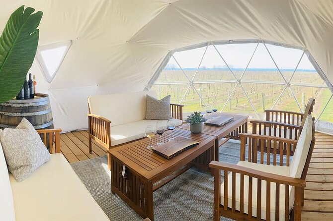 1 Hour Private Vineyard Dome Experience in Niagara-on-the-Lake - The Dome Setup: Raised Platform Views Without the Big Tour Shuffle