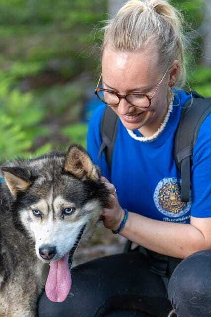 15 min. Tadoussac : Behind-the-Scenes Sled Dog Kennel Tour - Learning to Read Dog Behavior Like a Musher