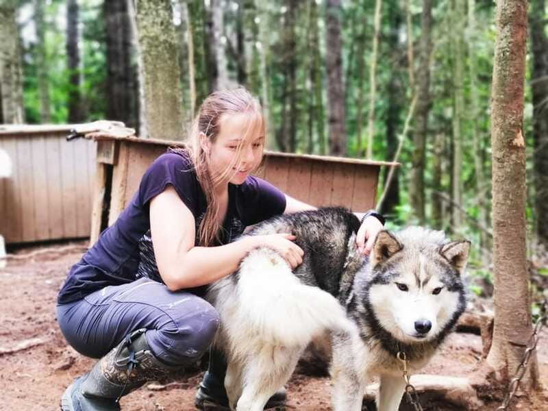 15 min. Tadoussac : Behind-the-Scenes Sled Dog Kennel Tour - Value for Money: Is $20 a Fair Deal?