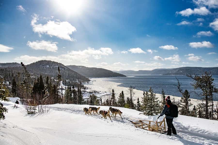 15 min. Tadoussac : Dog Sled Excursion in Saguenay Fjord - Quick takeaways before you book