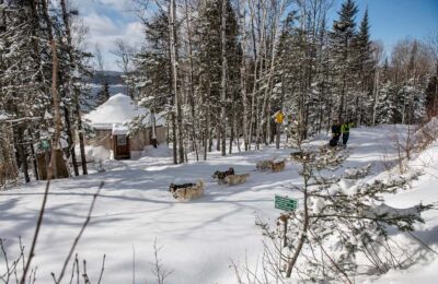 15 min. Tadoussac : Dog Sled Excursion in Saguenay Fjord