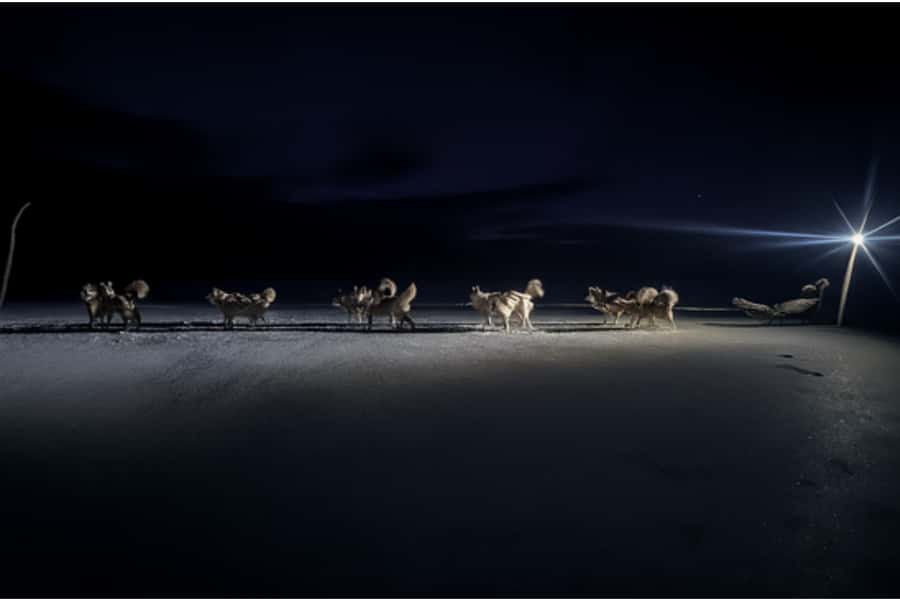 15 min. Tadoussac : Dog Sled Excursion in Saguenay Fjord - What $103 per person buys you, and when it is good value