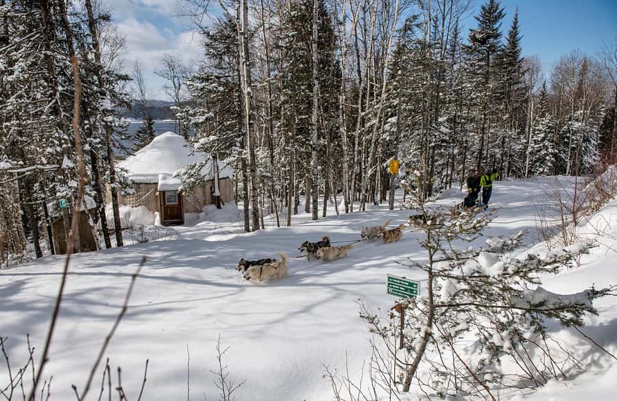 15 min. Tadoussac : Dog Sled Excursion in Saguenay Fjord - Family Ride, Boreal Adventure, and Family Night: picking your style