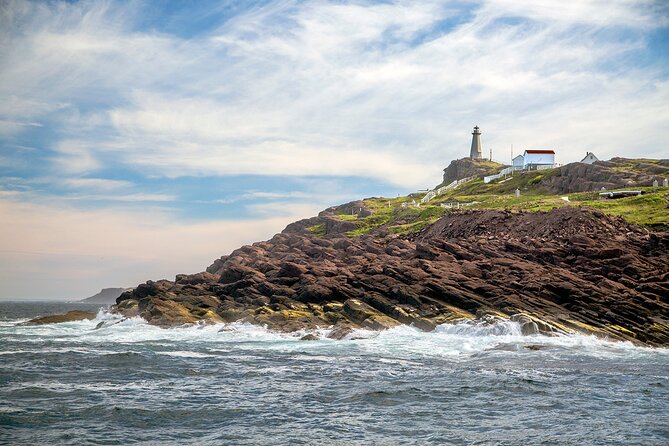2 Hour Award-Winning Whale and Seabird Boat Tour from St. John's - Fort Amherst Lighthouse and port history since the early 1500s