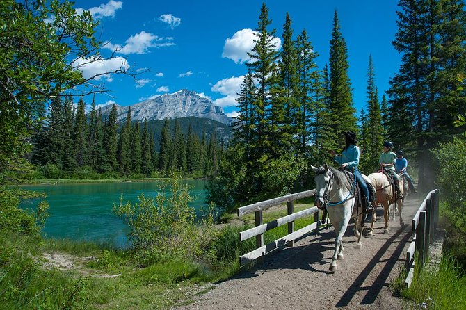 2 Hour Banff Horseback Riding Adventure - What the two hours feel like on the Sundance Loop