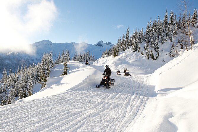 2 Hour Wilderness Adventure Snowmobile Tour in Whistler - Key takeaways before you book