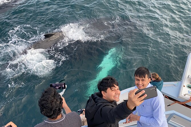2 Hours Guided Whale and Bird Boat Tour in Bay Bulls - What to wear: warm layers, lifejackets, and staying comfortable