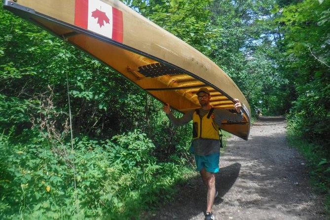 3 Day Algonquin Park Canoe Trip - Moose & Beaver Safari - Day 2: the pace shift with epic breakfast, loons, and wildlife searching