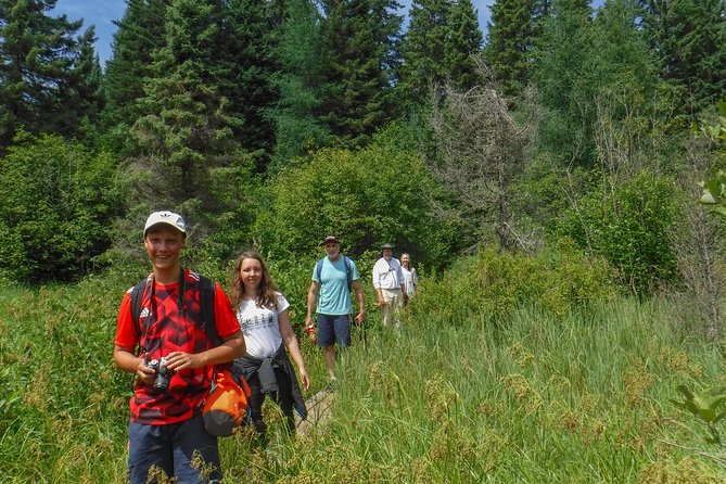 3 Day Algonquin Park Canoe Trip - Moose & Beaver Safari - Gear and comfort: what’s included, what you should still plan to bring