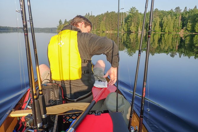 3 Hour Algonquin Park Bass & Trout Fishing (private- price is for 1 or 2 people) - Where You Meet, How the Morning Flows, and What to Expect