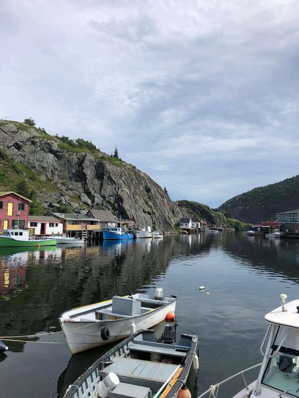 3 hour City Tour of St. John's, small group up to ten quests - Getting picked up in St. John’s: fewer steps, more sightseeing