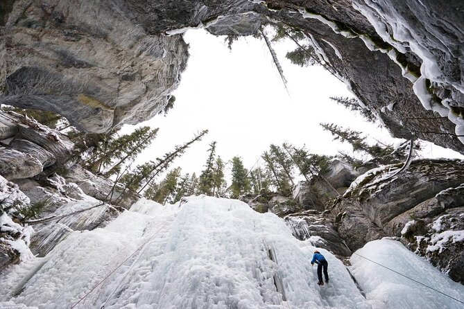 4-Days Rockies Banff, Lake Louise, Peyto with Fairmont Experience - Calgary pickup and your Fairmont start in the Rockies