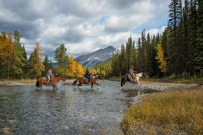 4 Hour Sulphur Mountain Horseback Ride - Spray River Trail Loop: The Part You Will Remember