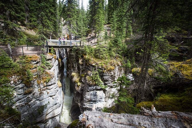 5 Day Canadian Rockies, Banff, Lake Louise, Moraine Lake, Jasper - Price and Pace: Is It Worth $1,245.34?