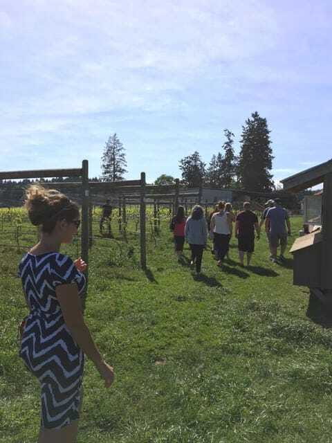 6-Hour Victoria to Cowichan Wine Tour - Guide and Group Energy: The Difference Between a Good Day and a Great One