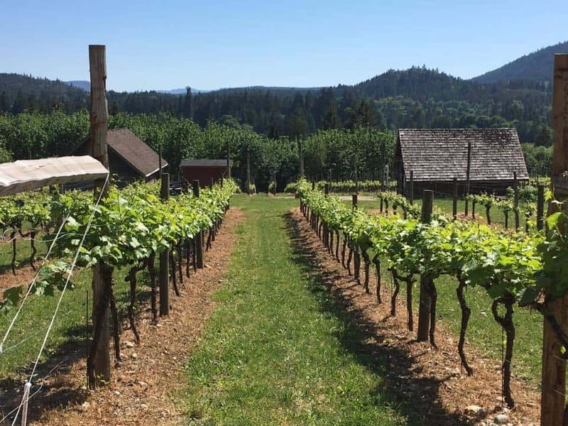 6-Hour Victoria to Cowichan Wine Tour - From Fairmont Empress Area to Cowichan: The Day’s Simple Shape