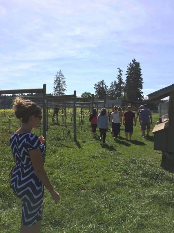 6-Hour Victoria to Cowichan Wine Tour - The Malahat Lookout Photo Stop: Worth Getting Out For