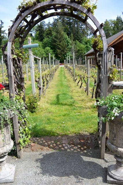 6-Hour Victoria to Cowichan Wine Tour - Blue Grouse at 12:30 PM: A Midday Taste Break That Doesn’t Feel Rushed