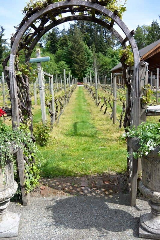 6-Hour Victoria to Cowichan Wine Tour - Timing and Return: Back in Victoria by 4:00 PM