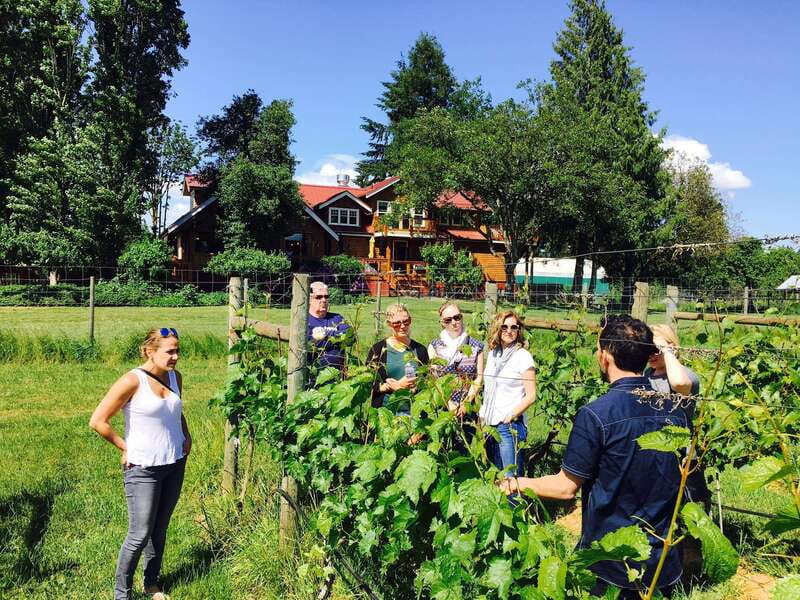 6-Hour Victoria to Cowichan Wine Tour - 9:45 AM Registration and 10:00 AM Rollout: Start Times That Actually Help