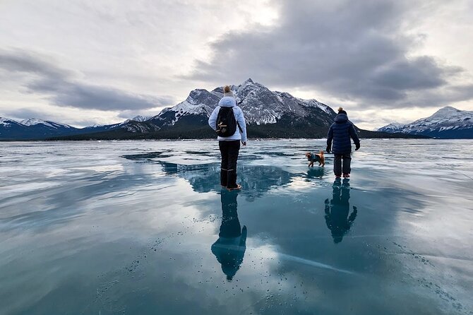 Abraham Ice Bubble/Sunwapta Falls,Snowshoeing,Icefield, Bow&Peyto - Athabasca Glacier and glacier alternates: crampons and careful winter pacing