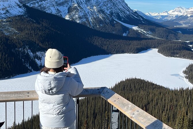 Abraham Ice Bubble/Sunwapta Falls,Snowshoeing,Icefield, Bow&Peyto - Guide experience: the difference between seeing and really enjoying