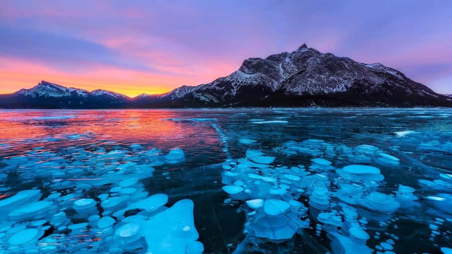 Abraham IceBubble/Sunwapta, Athabasca Falls, Peyto, Bow Lake - Key highlights to expect