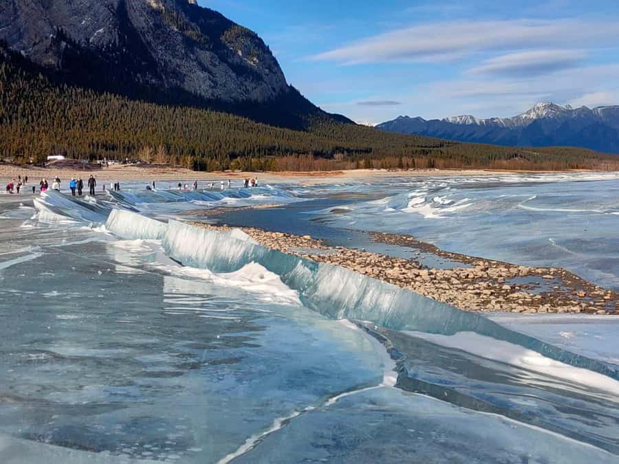Abraham IceBubble/Sunwapta, Athabasca Falls, Peyto, Bow Lake - Snowshoeing: what’s included and why it changes the day