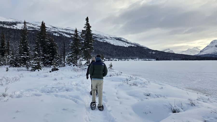 Abraham IceBubble/Sunwapta Falls, Snowshoeing Bow & Peyto - Athabasca Glacier and the Glacier Viewpoints That Build the Story