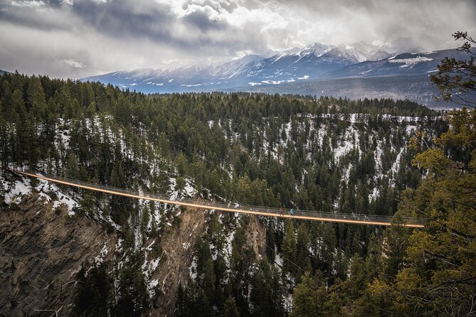 Admission Ticket to Golden Skybridge - Add-on thrills: zipline, challenge course, and the coaster