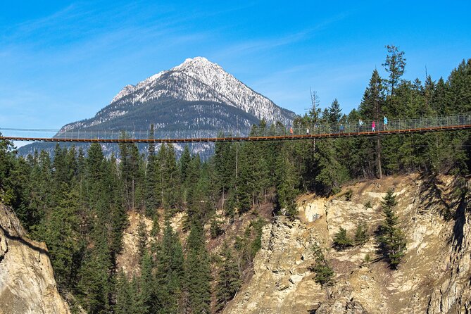 Admission Ticket to Golden Skybridge - Accessibility and service animals, plus who this suits