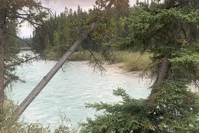 Airport Shuttle: Lake Louise <---> Calgary - Door-to-door pickup and drop-off: the real win
