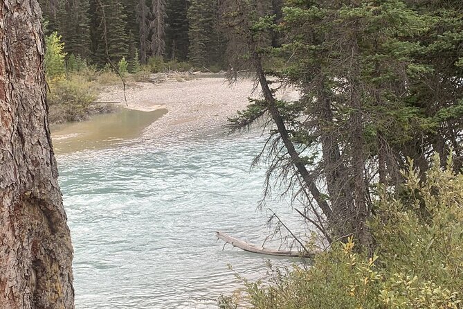 Airport Shuttle: Lake Louise <---> Calgary - Value compared with renting a car in Alberta
