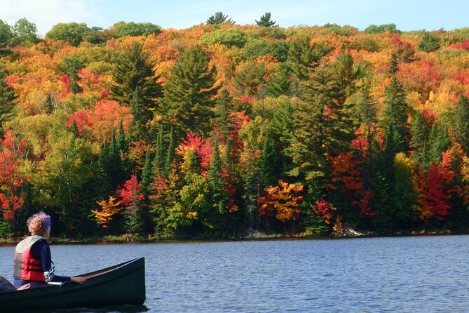 Algonquin Park 3-Day Deluxe Camping & Canoeing Adventure - Key highlights you should care about