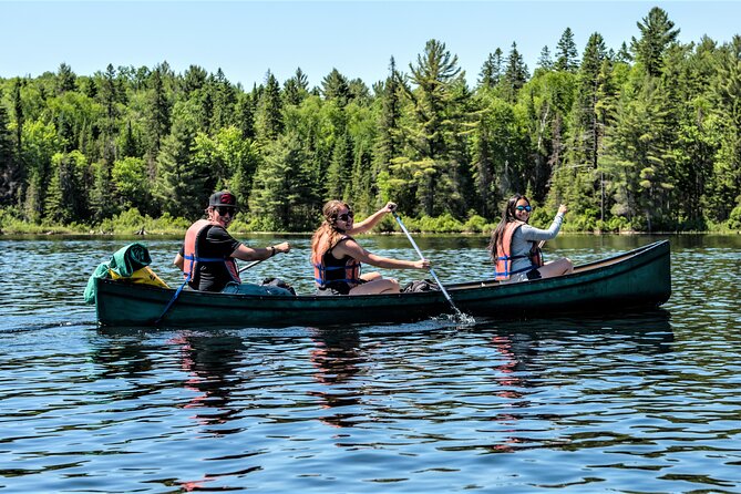 Algonquin Park 3-Day Deluxe Camping & Canoeing Adventure - Day 2: beaver or moose habitat, sauna time, and cliff-jump options
