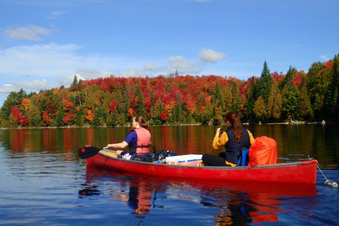 Algonquin Park 4-Day Deluxe Camping & Canoeing Adventure - Quick Hits: What Makes This Algonquin Canoe Camp Feel Deluxe
