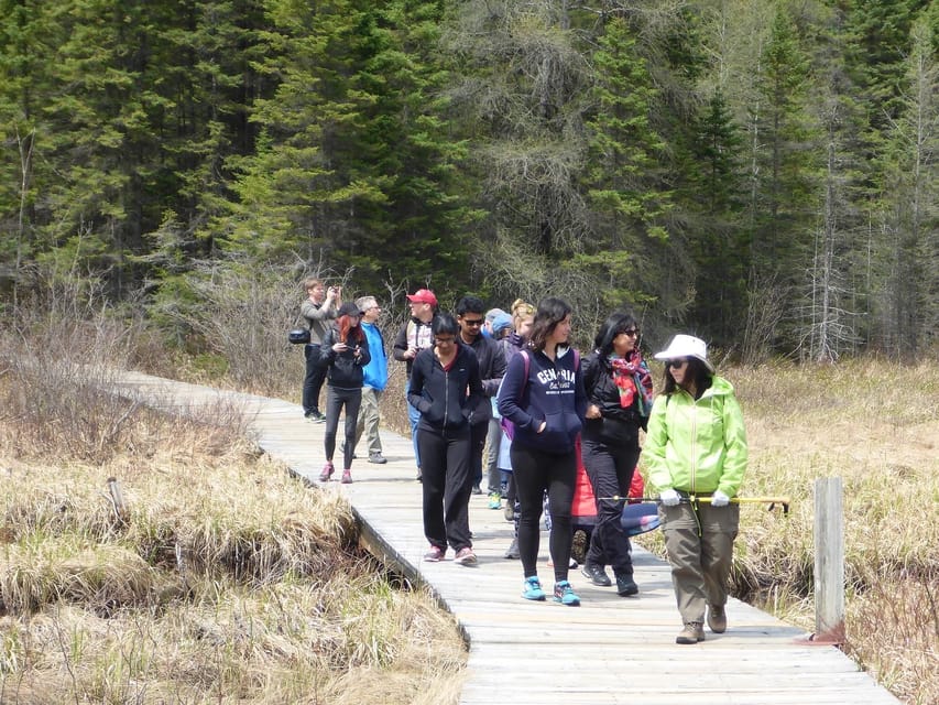 Algonquin Park: Adventure Tour from Toronto - The hike: guided pacing and why trail choice matters