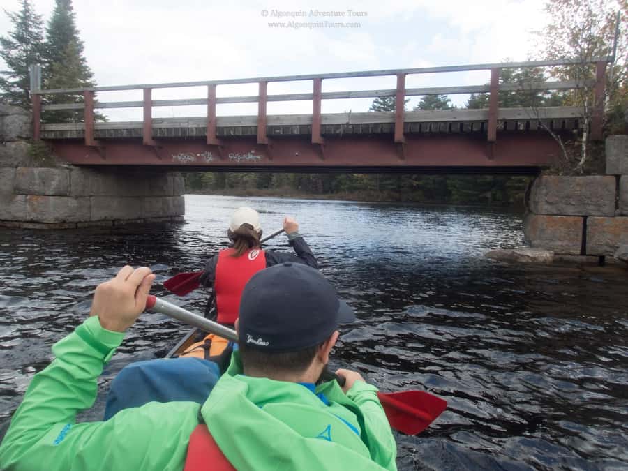 Algonquin Park: Canoe Camping Safari - What to bring, what not to bring, and the rain reality