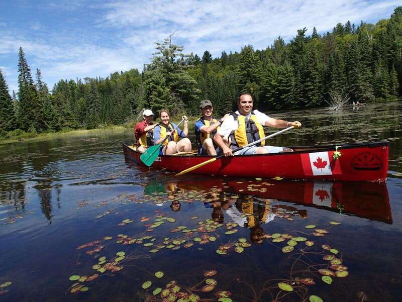 Algonquin Park: Guided Canoe Day Tour - Lunch on the shore, powered by Henrietta’s Pine Bakery