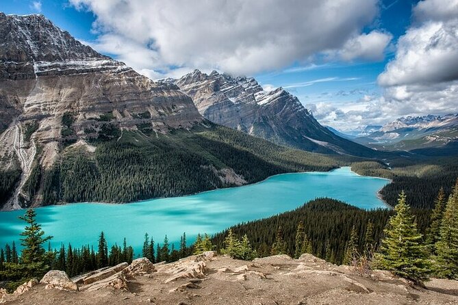 Along Icefields Parkway: Peyto Lake, Bow Lake & Columbia Icefield - Price and Logistics: What Your $125.47 Actually Buys