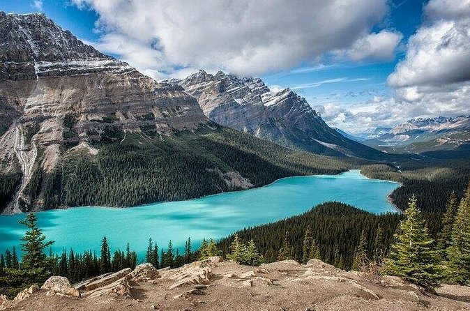 Along Icefields Parkway: Peyto Lake, Bow Lake & Columbia Icefield - Peyto Lake and the Bow Summit Lookout: The Wolf-Head Shape