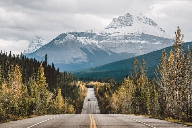 Along Icefields Parkway: Peyto Lake, Bow Lake & Columbia Icefield - The Ice Explorer Snowcoach Add-On: How to Avoid the Most Common Regret
