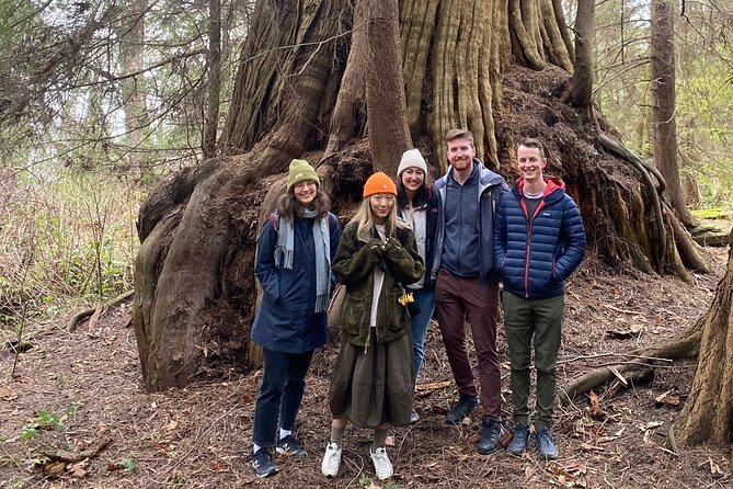 Ancient Trees of Vancouver Walking Tour - A walk through Stanley Park’s real old growth, not just scenic trees