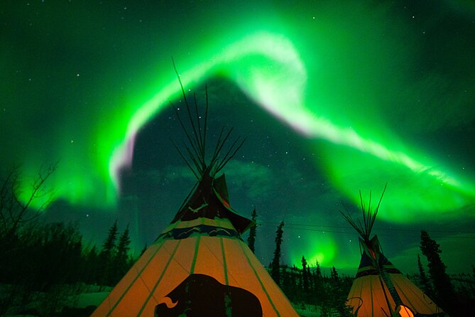 Arctic Day: Aurora Viewing Tour | late night - Photographer guide and the photo purchase process