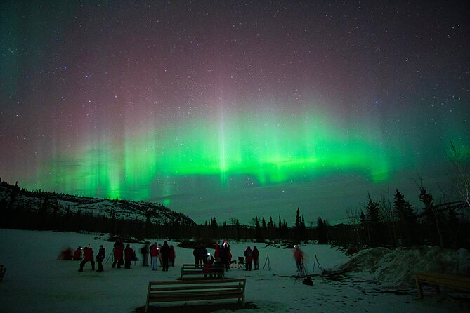 Arctic Day: Aurora Viewing Tour | late night - Stop experience: warming up, stories, and what happens if the sky stays cloudy